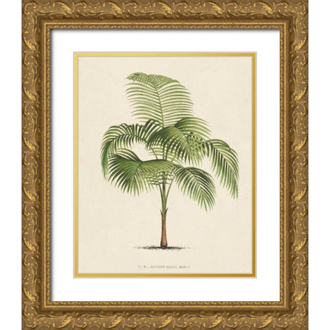 Les Palmiers I Gold Ornate Wood Framed Art Print with Double Matting by Unknown