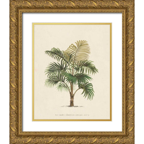 Les Palmiers IV Gold Ornate Wood Framed Art Print with Double Matting by Unknown