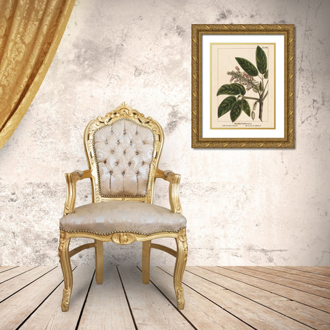 California Horse Chestnut Gold Ornate Wood Framed Art Print with Double Matting by Silva, John