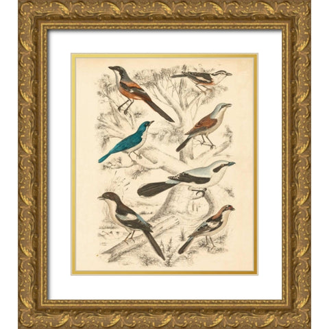 Avian Habitat V Gold Ornate Wood Framed Art Print with Double Matting by Milne