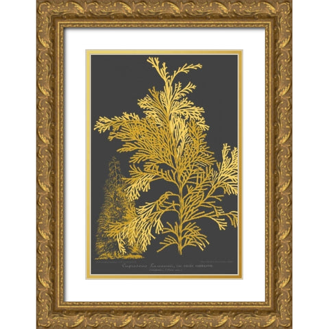 Trees and Leaves I Gold Ornate Wood Framed Art Print with Double Matting by Vision Studio
