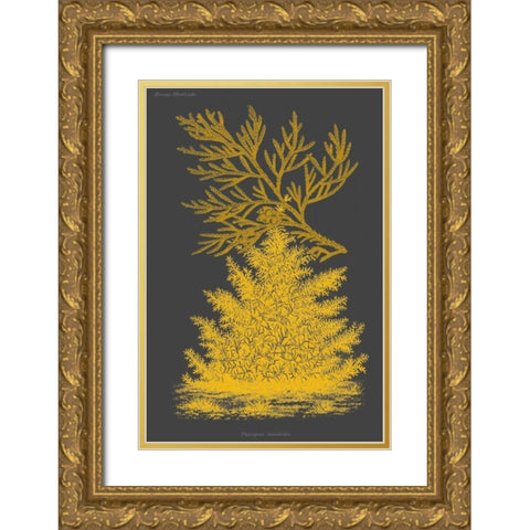 Trees and Leaves II Gold Ornate Wood Framed Art Print with Double Matting by Vision Studio