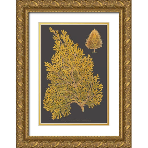 Trees and Leaves III Gold Ornate Wood Framed Art Print with Double Matting by Vision Studio