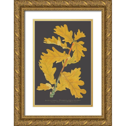 Trees and Leaves IV Gold Ornate Wood Framed Art Print with Double Matting by Vision Studio