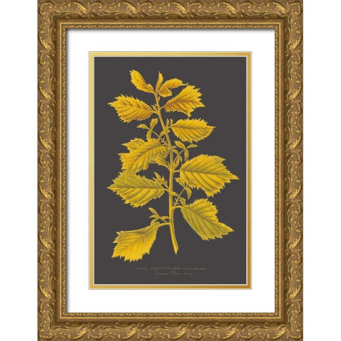 Trees and Leaves V Gold Ornate Wood Framed Art Print with Double Matting by Vision Studio