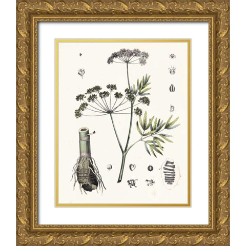 Berge Botanicals I Gold Ornate Wood Framed Art Print with Double Matting by Berge