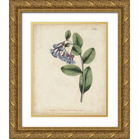 Lavender Curtis Botanicals I Gold Ornate Wood Framed Art Print with Double Matting by Curtis