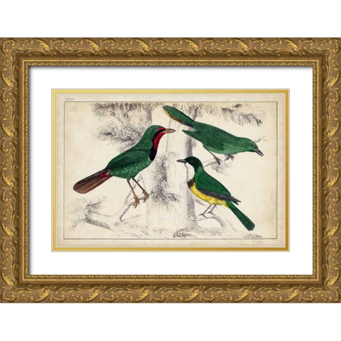 Tropical Bird Trio I Gold Ornate Wood Framed Art Print with Double Matting by Unknown