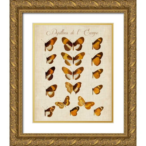 Papillons de LEurope I Gold Ornate Wood Framed Art Print with Double Matting by Vision Studio