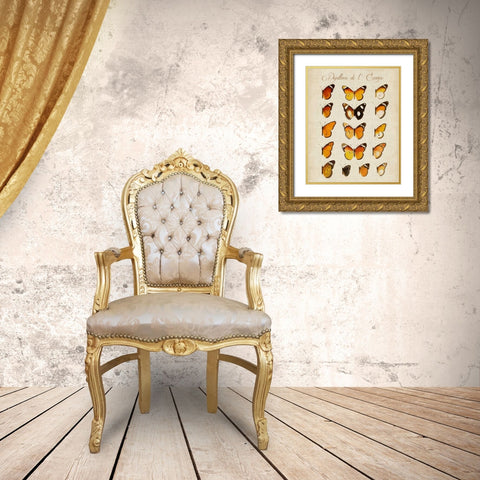 Papillons de LEurope II Gold Ornate Wood Framed Art Print with Double Matting by Vision Studio