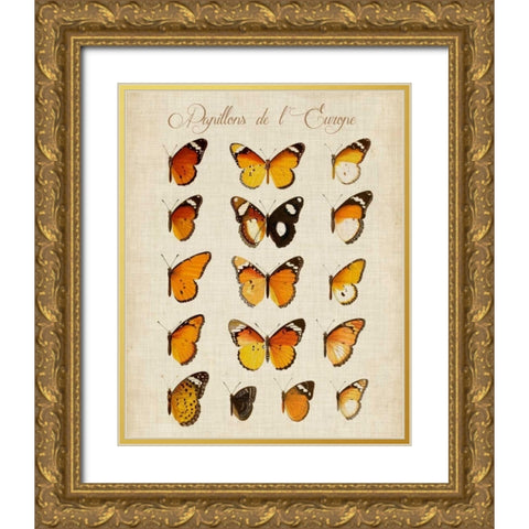 Papillons de LEurope II Gold Ornate Wood Framed Art Print with Double Matting by Vision Studio