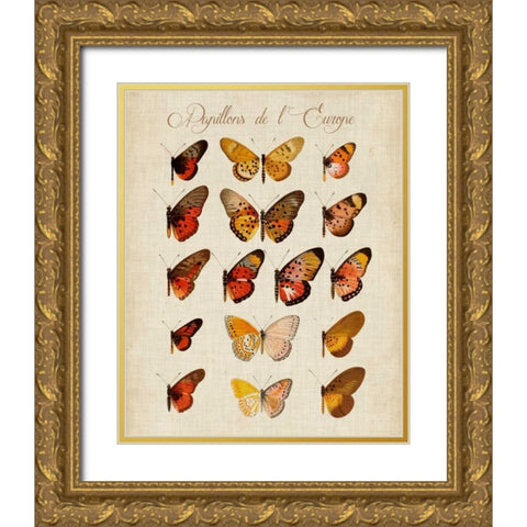 Papillons de LEurope III Gold Ornate Wood Framed Art Print with Double Matting by Vision Studio