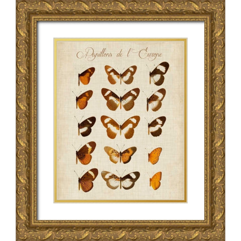 Papillons de LEurope IV Gold Ornate Wood Framed Art Print with Double Matting by Vision Studio