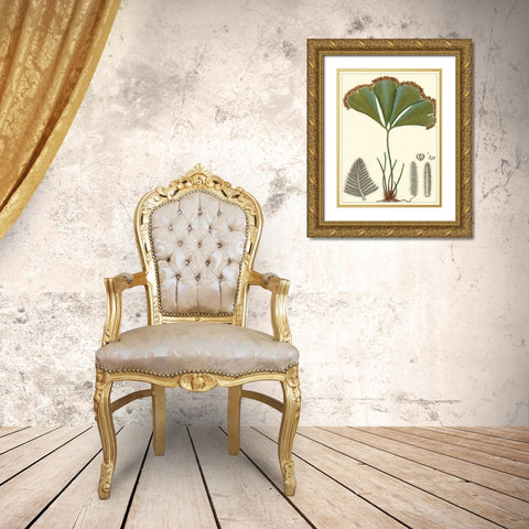 Small Foliage Botanique I Gold Ornate Wood Framed Art Print with Double Matting by Turpin