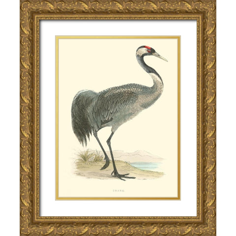 Small Morris Crane I Gold Ornate Wood Framed Art Print with Double Matting by Morris