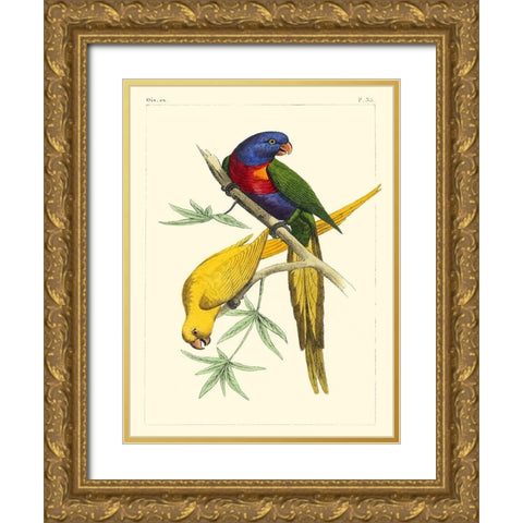 Small Lemaire Parrots IV Gold Ornate Wood Framed Art Print with Double Matting by Lemaire, C.L.