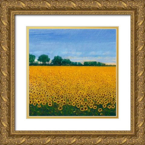 Field of Sunflowers I Gold Ornate Wood Framed Art Print with Double Matting by OToole, Tim