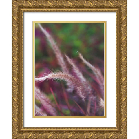 Purple Plumes I Gold Ornate Wood Framed Art Print with Double Matting by Quintero, Sonja