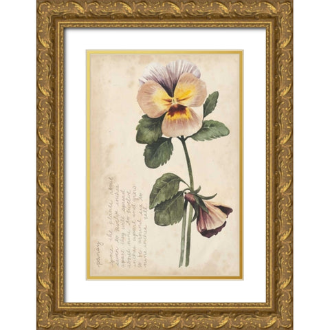 Garden Studies I Gold Ornate Wood Framed Art Print with Double Matting by Popp, Grace