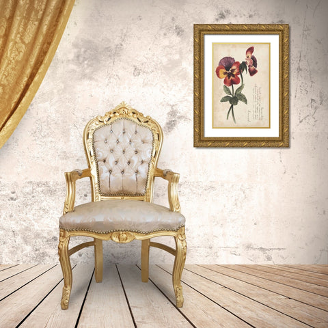 Garden Studies II Gold Ornate Wood Framed Art Print with Double Matting by Popp, Grace