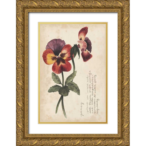 Garden Studies II Gold Ornate Wood Framed Art Print with Double Matting by Popp, Grace