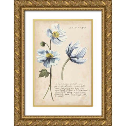 Garden Studies III Gold Ornate Wood Framed Art Print with Double Matting by Popp, Grace