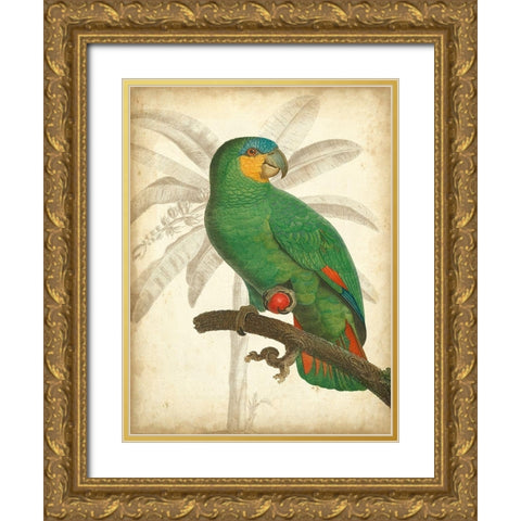 Custom Parrot and Palm I Gold Ornate Wood Framed Art Print with Double Matting by Vision Studio