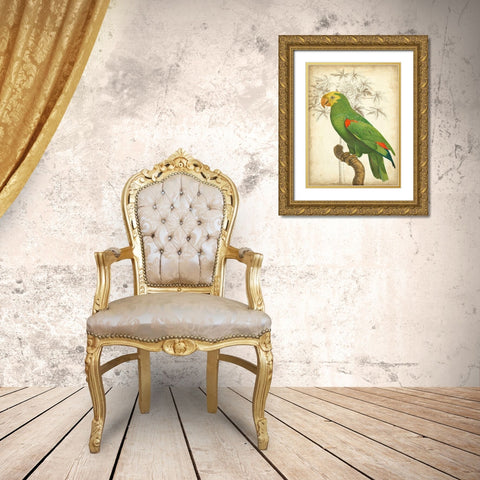 Custom Parrot and Palm III Gold Ornate Wood Framed Art Print with Double Matting by Vision Studio