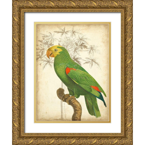 Custom Parrot and Palm III Gold Ornate Wood Framed Art Print with Double Matting by Vision Studio