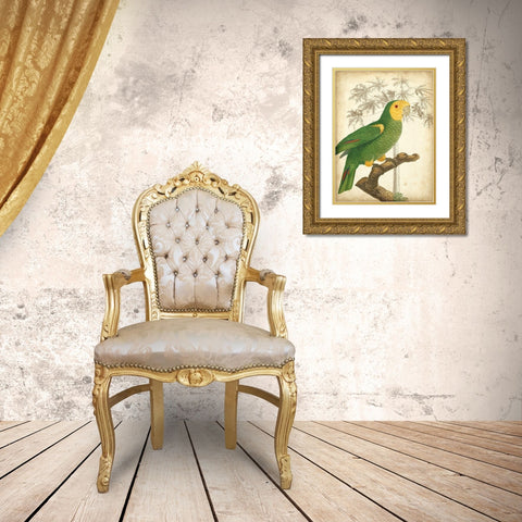 Custom Parrot and Palm IV Gold Ornate Wood Framed Art Print with Double Matting by Vision Studio