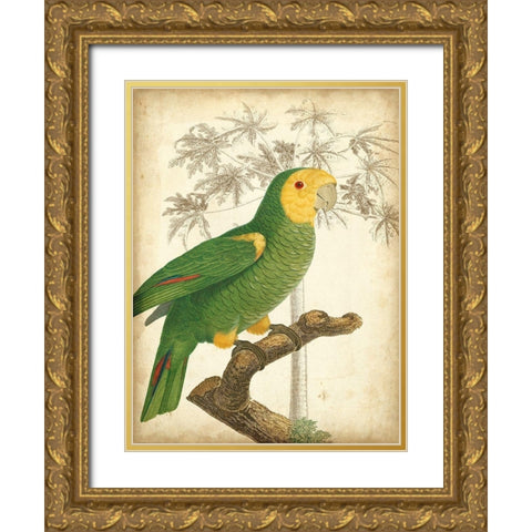 Custom Parrot and Palm IV Gold Ornate Wood Framed Art Print with Double Matting by Vision Studio