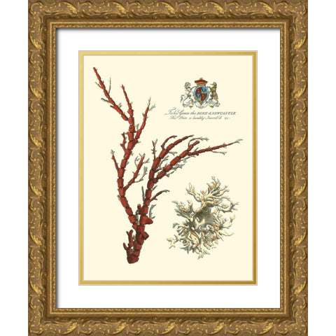 Custom Imperial Coral I Gold Ornate Wood Framed Art Print with Double Matting by Vision Studio