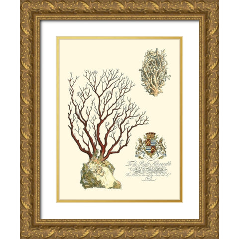 Custom Imperial Coral III Gold Ornate Wood Framed Art Print with Double Matting by Vision Studio