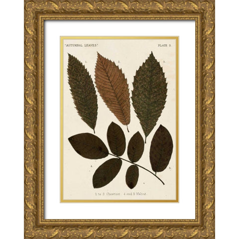 Autumnal Leaves I Gold Ornate Wood Framed Art Print with Double Matting by Vision Studio