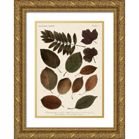 Autumnal Leaves II Gold Ornate Wood Framed Art Print with Double Matting by Vision Studio