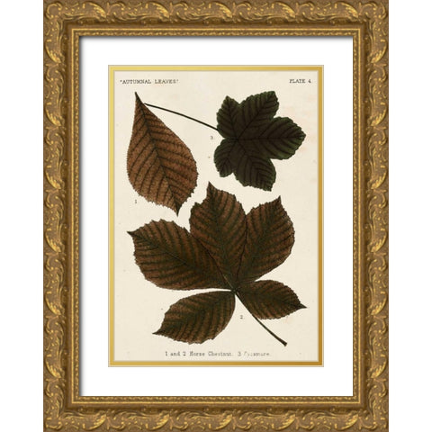 Autumnal Leaves III Gold Ornate Wood Framed Art Print with Double Matting by Vision Studio