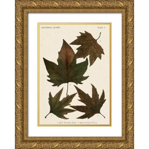 Autumnal Leaves IV Gold Ornate Wood Framed Art Print with Double Matting by Vision Studio