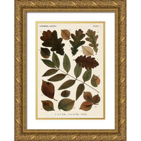 Autumnal Leaves V Gold Ornate Wood Framed Art Print with Double Matting by Vision Studio