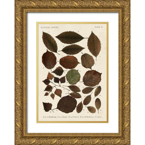 Autumnal Leaves VI Gold Ornate Wood Framed Art Print with Double Matting by Vision Studio