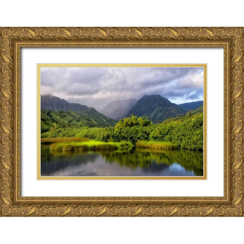 Coastal Marsh IV Gold Ornate Wood Framed Art Print with Double Matting by Head, Danny