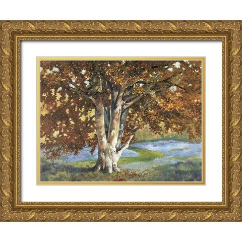 Custom Golden Light II (ASH) Gold Ornate Wood Framed Art Print with Double Matting by Reynolds, Graham