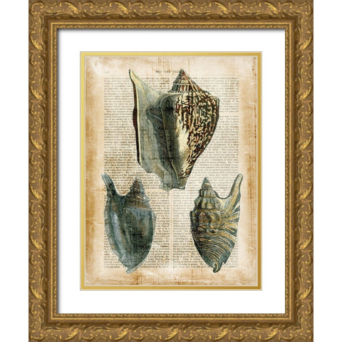 Small Antiquarian Seashells I Gold Ornate Wood Framed Art Print with Double Matting by Vision Studio