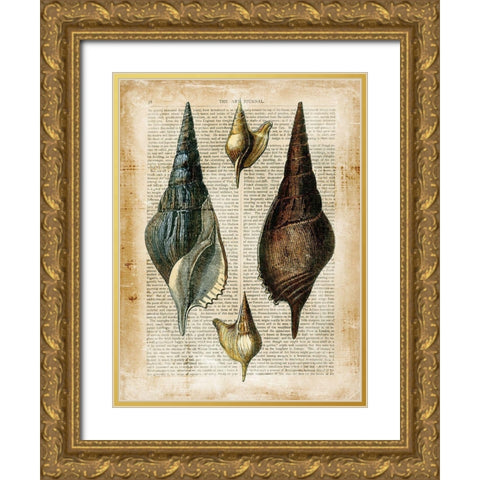 Small Antiquarian Seashells II Gold Ornate Wood Framed Art Print with Double Matting by Vision Studio