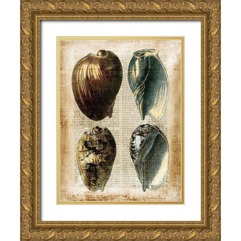 Small Antiquarian Seashells III Gold Ornate Wood Framed Art Print with Double Matting by Vision Studio