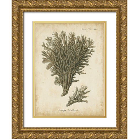 Small Esper Antique Coral III Gold Ornate Wood Framed Art Print with Double Matting by Esper, Johann
