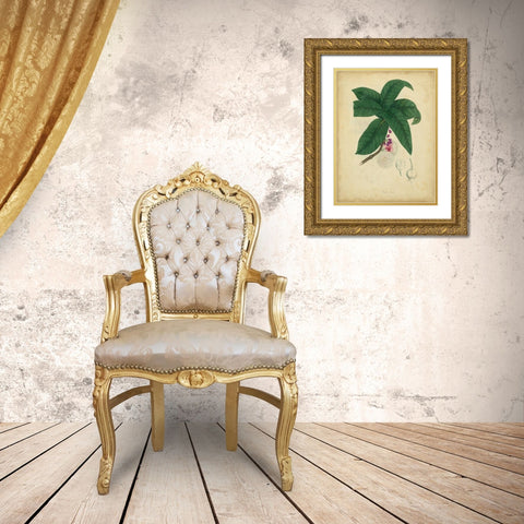 Custom Engelmann Botanical V (GC) Gold Ornate Wood Framed Art Print with Double Matting by Engelmann