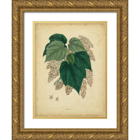 Custom Engelmann Botanical VII (GC) Gold Ornate Wood Framed Art Print with Double Matting by Engelmann