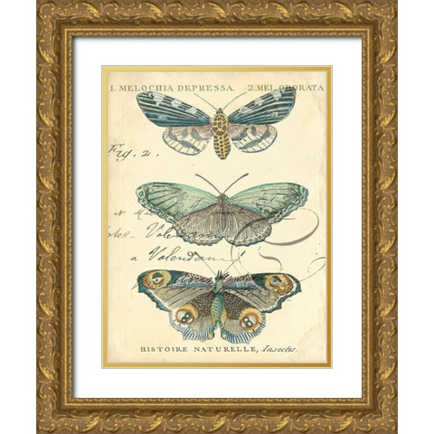 Custom Butterfly Ephemera II (GC) Gold Ornate Wood Framed Art Print with Double Matting by Zarris, Chariklia