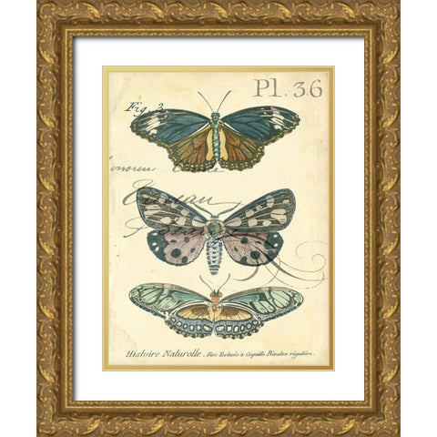 Custom Butterfly Ephemera III (GC) Gold Ornate Wood Framed Art Print with Double Matting by Zarris, Chariklia