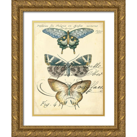 Custom Butterfly Ephemera IV (GC) Gold Ornate Wood Framed Art Print with Double Matting by Zarris, Chariklia